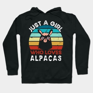 Just a girl who loves alpacas Hoodie